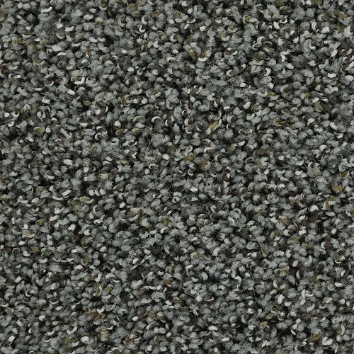 Captivating Outlook in Heron Grey Carpet