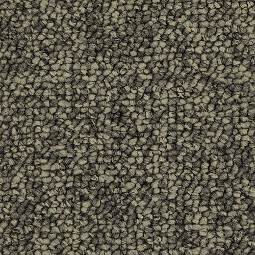 Chic Comfort in Classic Silver Carpet