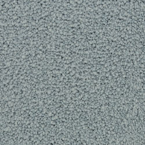 Coastal Fashion I in Refreshing Carpet