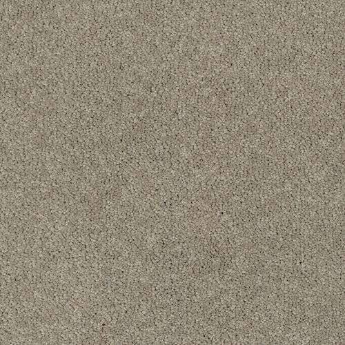 Coastal Fashion III in Cumulus Carpet