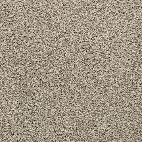 Bold Choice in Wrangler Carpet