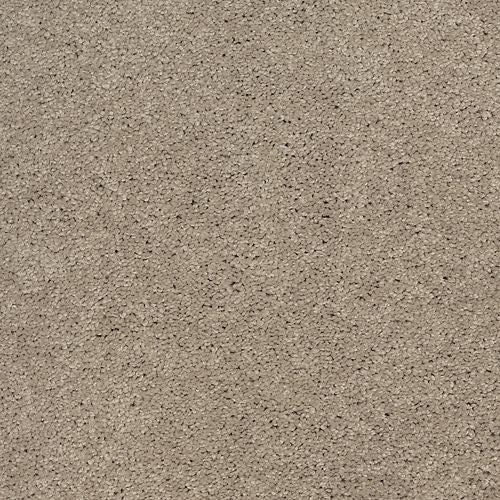 Supreme Bliss - Eggshell in  Area Rugs