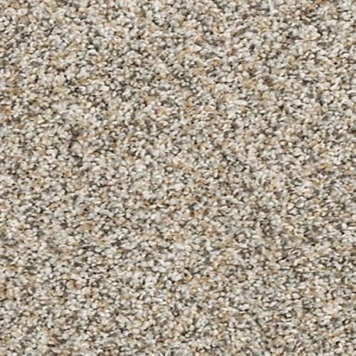 Claws And Effect I in Soapstone Carpet