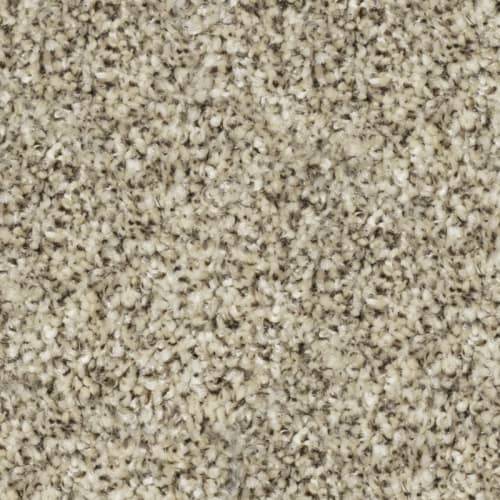 Tryesse & Tri-Color - Stadium