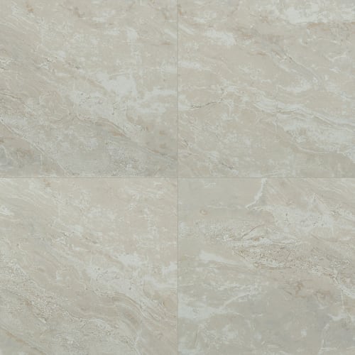 Onyx In Ivory - 24X24 Matte