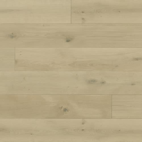 Verano Collection In Orzo