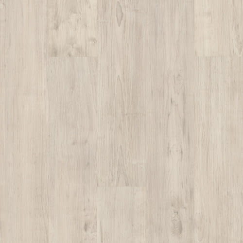 Basic Logic Spc In Antler