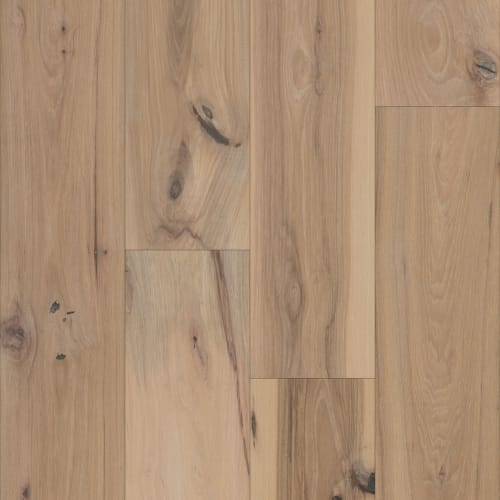 Colonial Oak In Andover