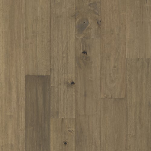 Pacific Pecan In Hamby Pecan