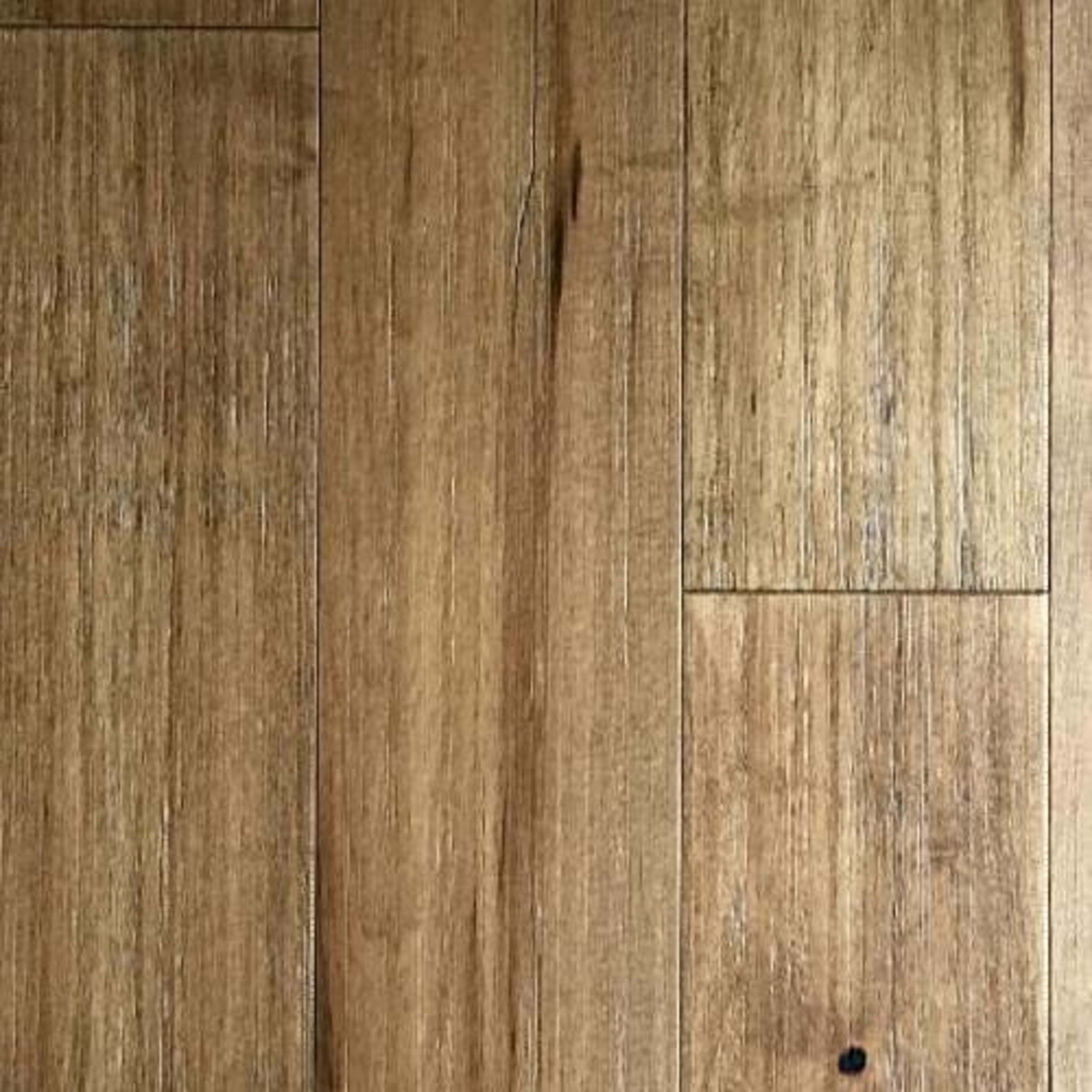 Bailey in San Mateo Hardwood