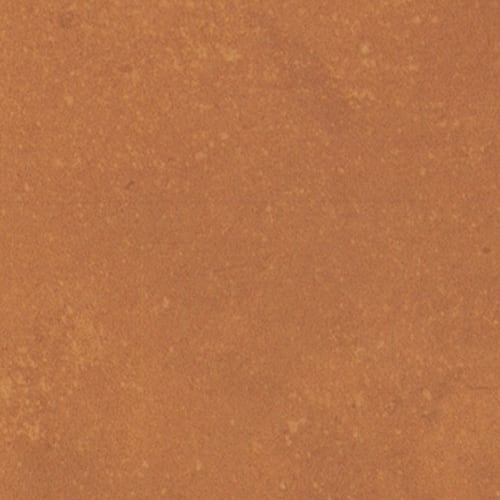 Portfolio - Vivid In Orange Burst