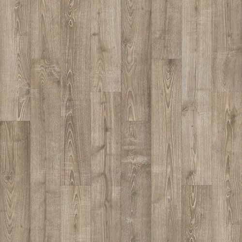 Lidden Brook In Mushroom Oak