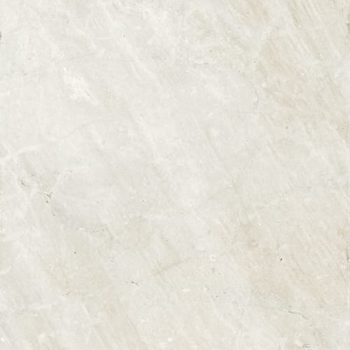 Portugal In Velho White 24"X24" Unpolished