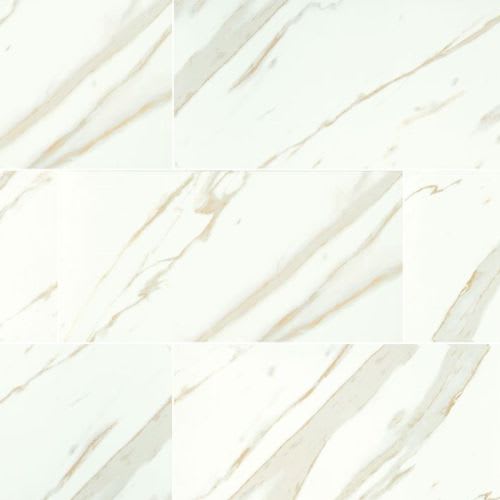 Pietra in Calacatta - 12x24 Matte Tile