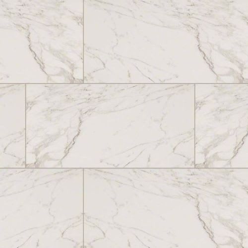 Pietra in Carrara - 12x24 Matte Tile