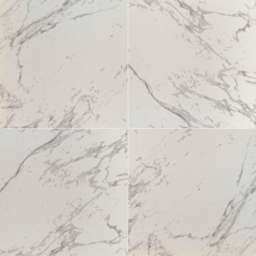 Pietra In Carrara - 24X24 Polished