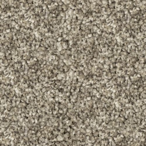 Tryesse & Tri-Color - Stadium