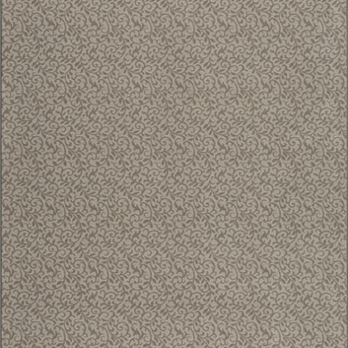 Pure Elegance - Silver Ash 3’10” X 5’4”