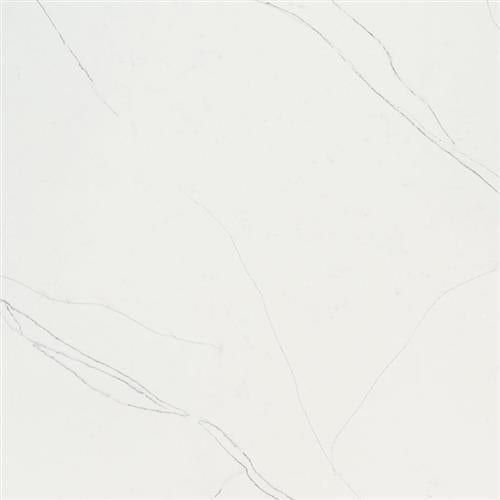 Q Premium Natural Quartz in Calacatta Trevi Solid Surface