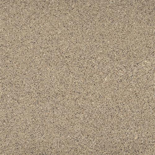 Q Premium Natural Quartz In Coronado