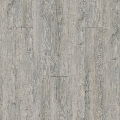 Puregrain Endure - New Standard Ii In Aruba