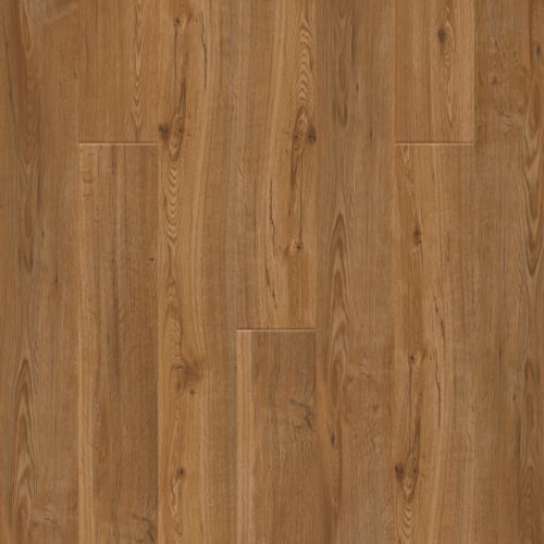 Puregrain Endure - New Standard Ii In Beachcomber
