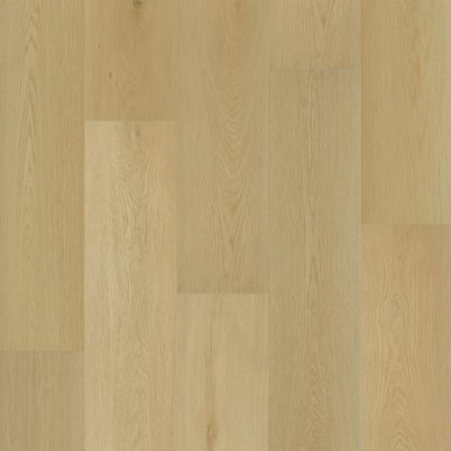 Puregrain Endure - Preference In Macadamia