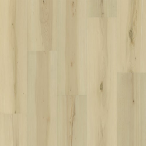 Puregrain Endure - Preference In Manchester