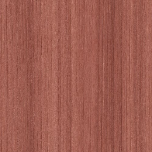 Urban Culture In Coral