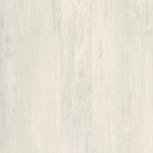 Basic Logic 5.0 In Bone