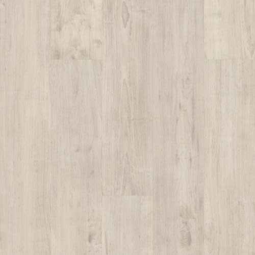 Basic Logic 5.0 In Antler