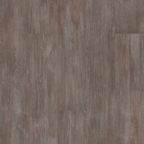 Basic Logic 5.0 In Jasper