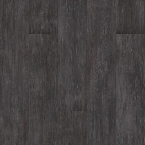 Basic Logic 5.0 In Gunmetal