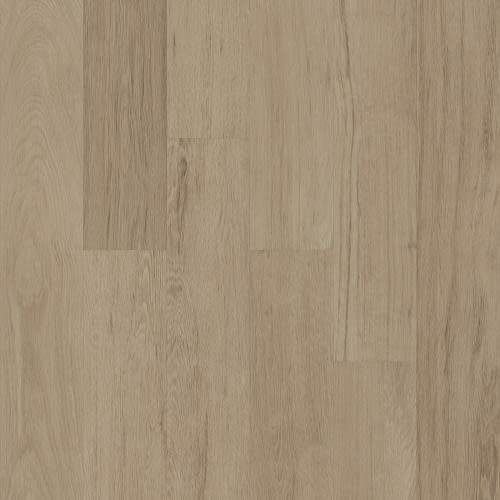 Gate Keeper 5.0 Mm In St. Helens