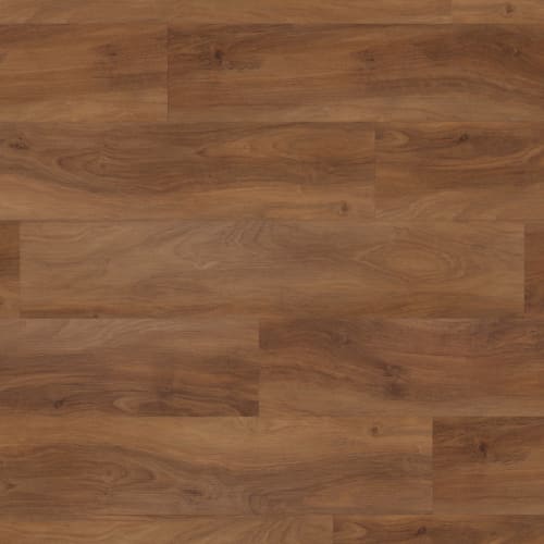 Korlok Reserve in Marron Elm