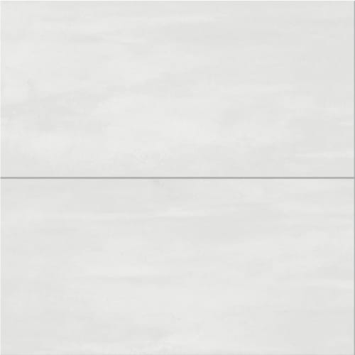 Reflexion In Bright 24X48