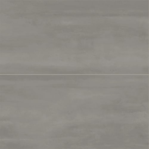 Reflexion In Titanium 24X48