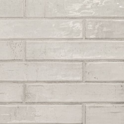 Stella In Rhino 2X10