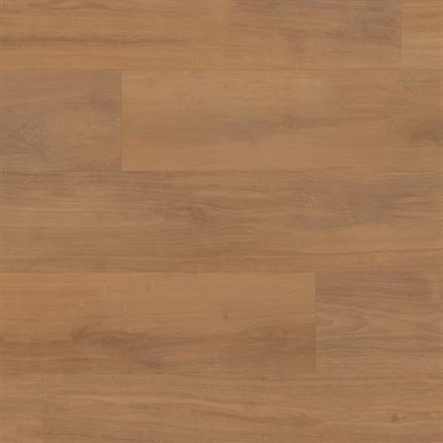 Korlok Select in Barley Oak