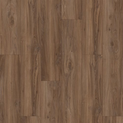 Leighton Ii In Loggerhead Oak