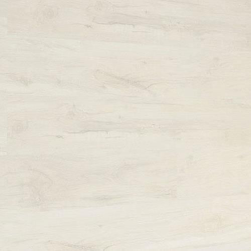 Rigid Stone Core Vinyl Plank In White Birch