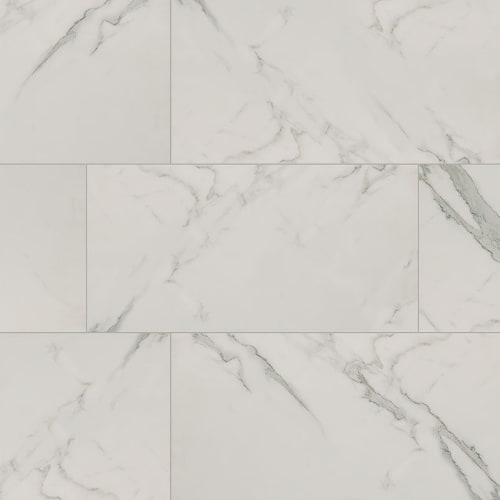 Regallo In Calacatta Isla - 12X24 Matte
