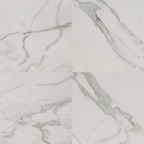 Regallo In Calacatta Isla - 24X24 Matte