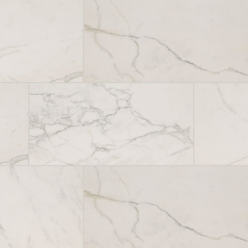 Regallo in Calacatta Isla - 24x48 Polished Tile