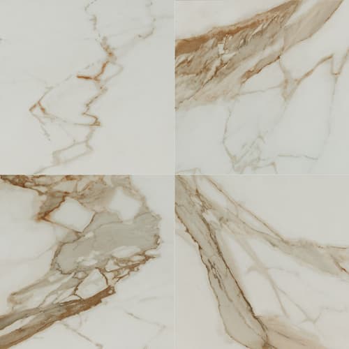Regallo In Calacatta Marbella - 24X24 Matte