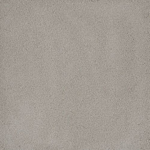 RARE MASTERPIECE in Fossil Path Carpet