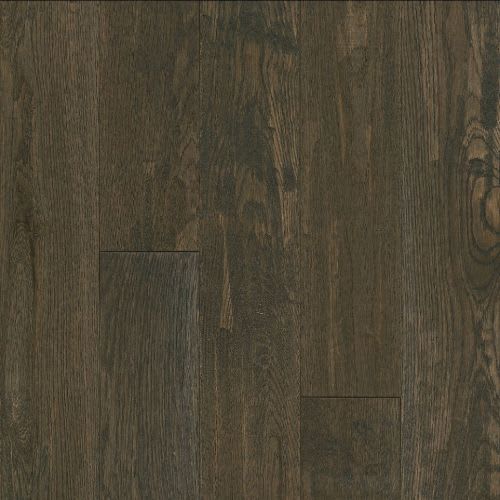 Signature Scrape in Coastal Plain 5 Hardwood
