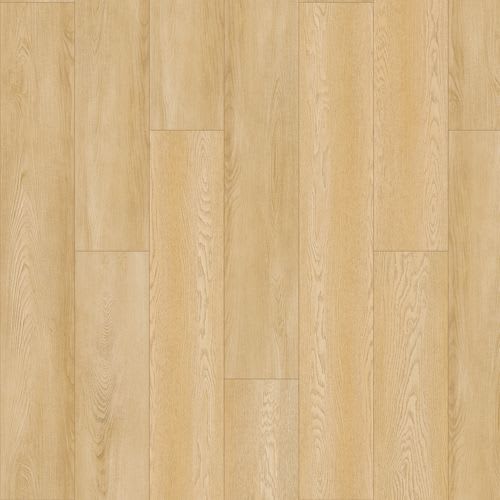 Amber Escape in Florence