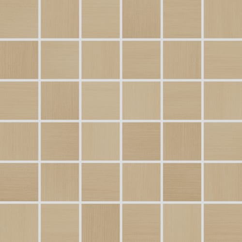 Shades 2.0 In Camel 2"X2"