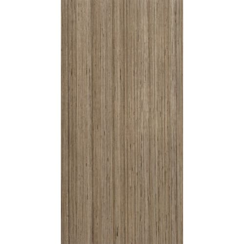 Shibusa in Tortora-24x48 Tile